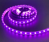 addressable led strip